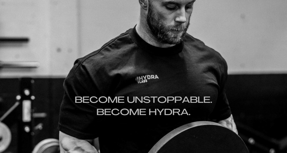 Hydra Labs